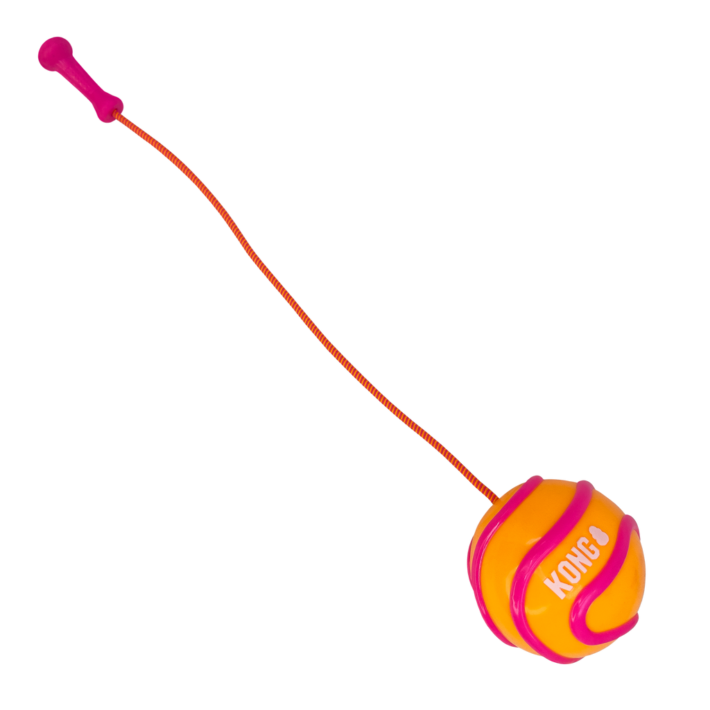 Bunji High-Viz Ball Assorted Lg EU