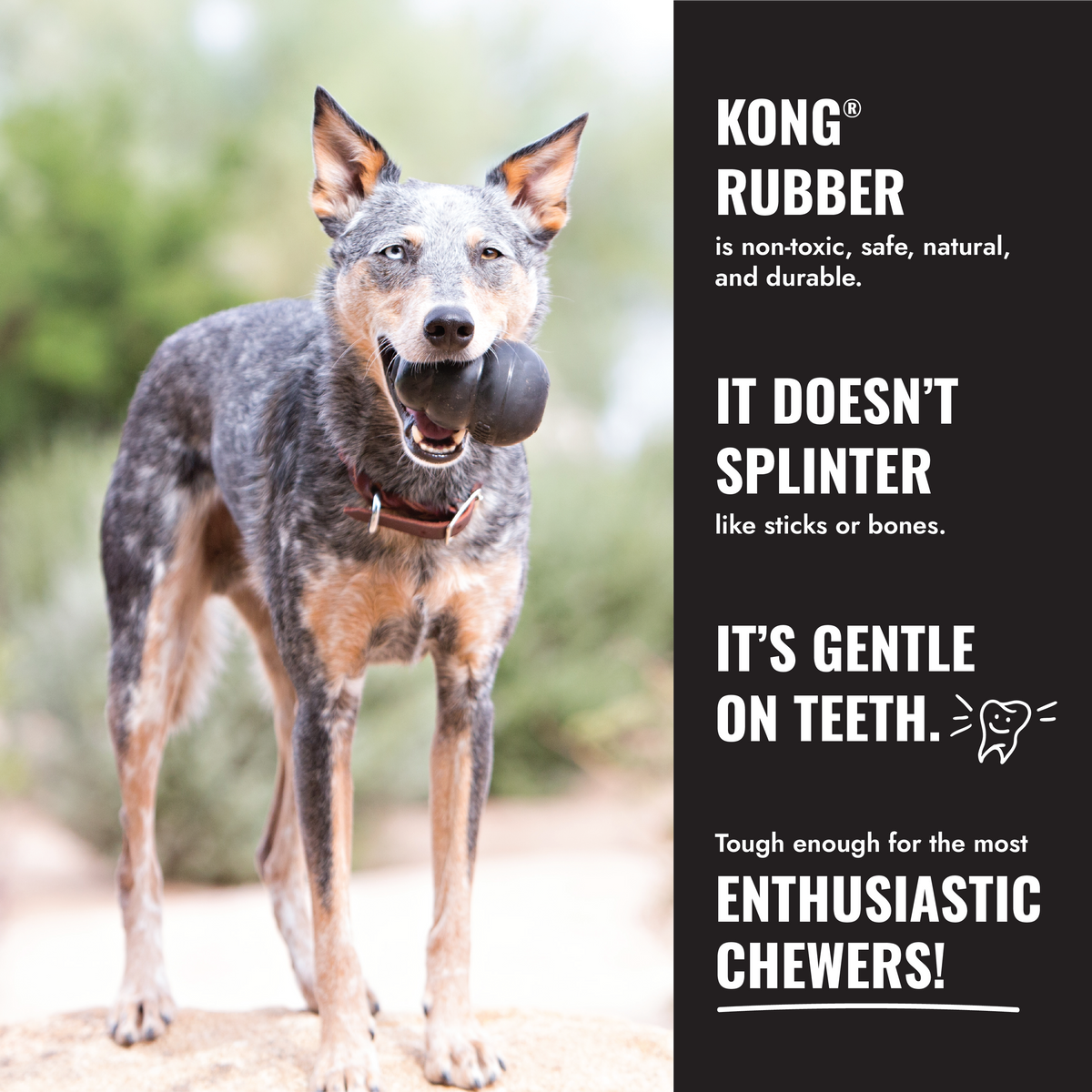 KONG Stuff A Ball Extreme Md EU