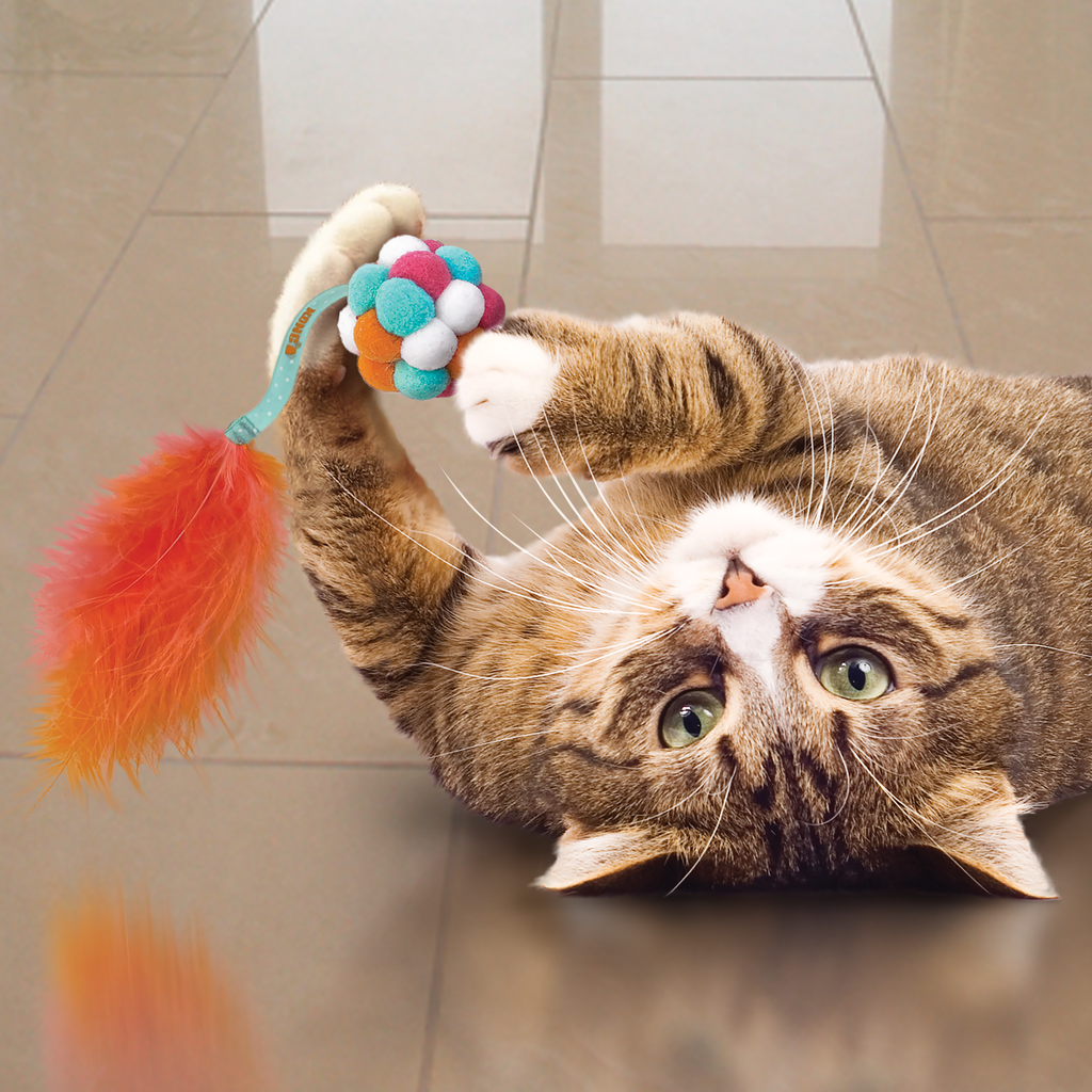 Cat Active Bubble Ball Assorted EU