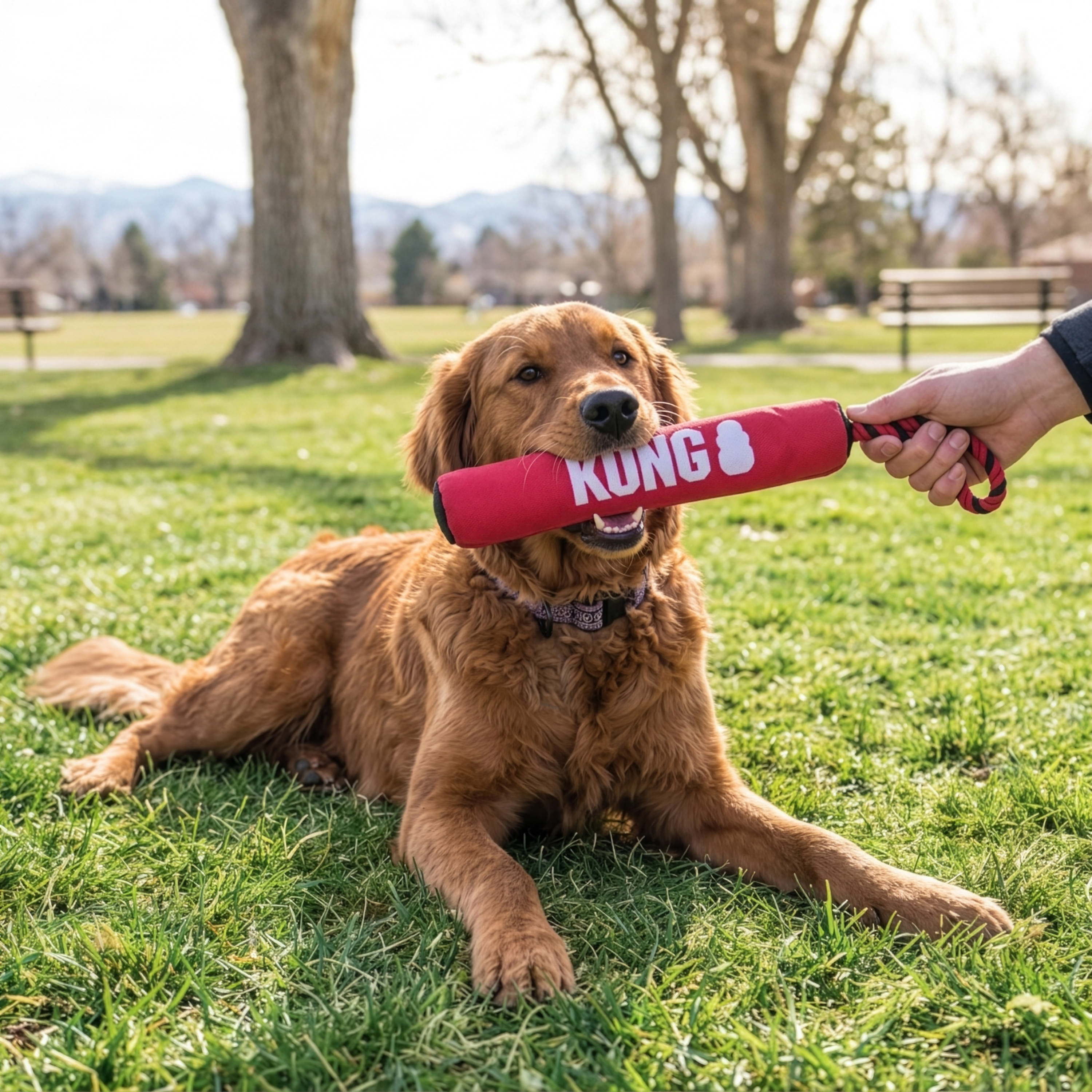 Kong Signature Stick with Rope Medium