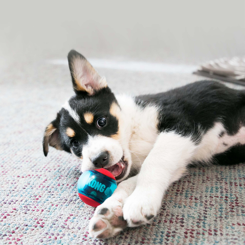 Kong Squeezz Action Red x2 L