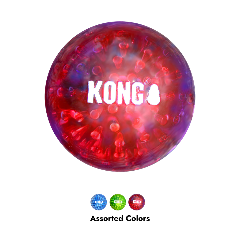 Kong Squeezz Geodz 2pk Assorted L