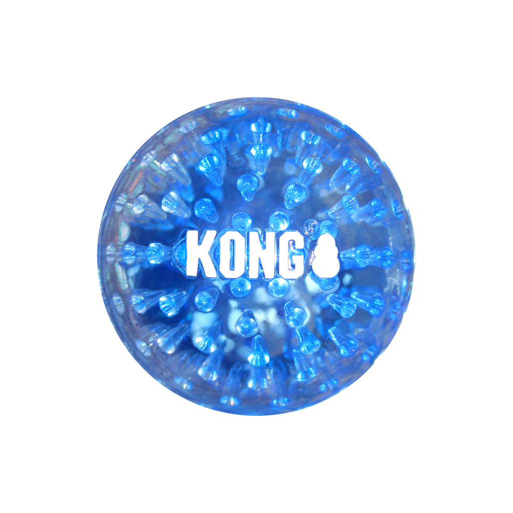 Kong Squeezz Geodz 2pk Assorted L