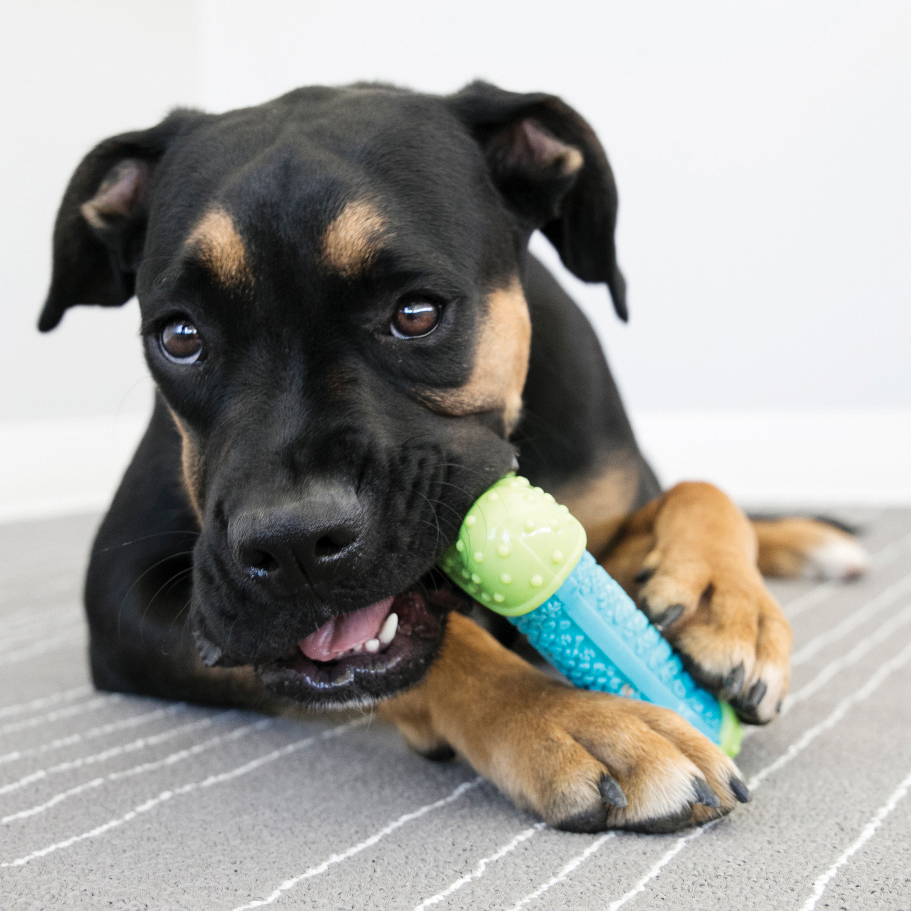Kong Xmas CoreStrength Bone L