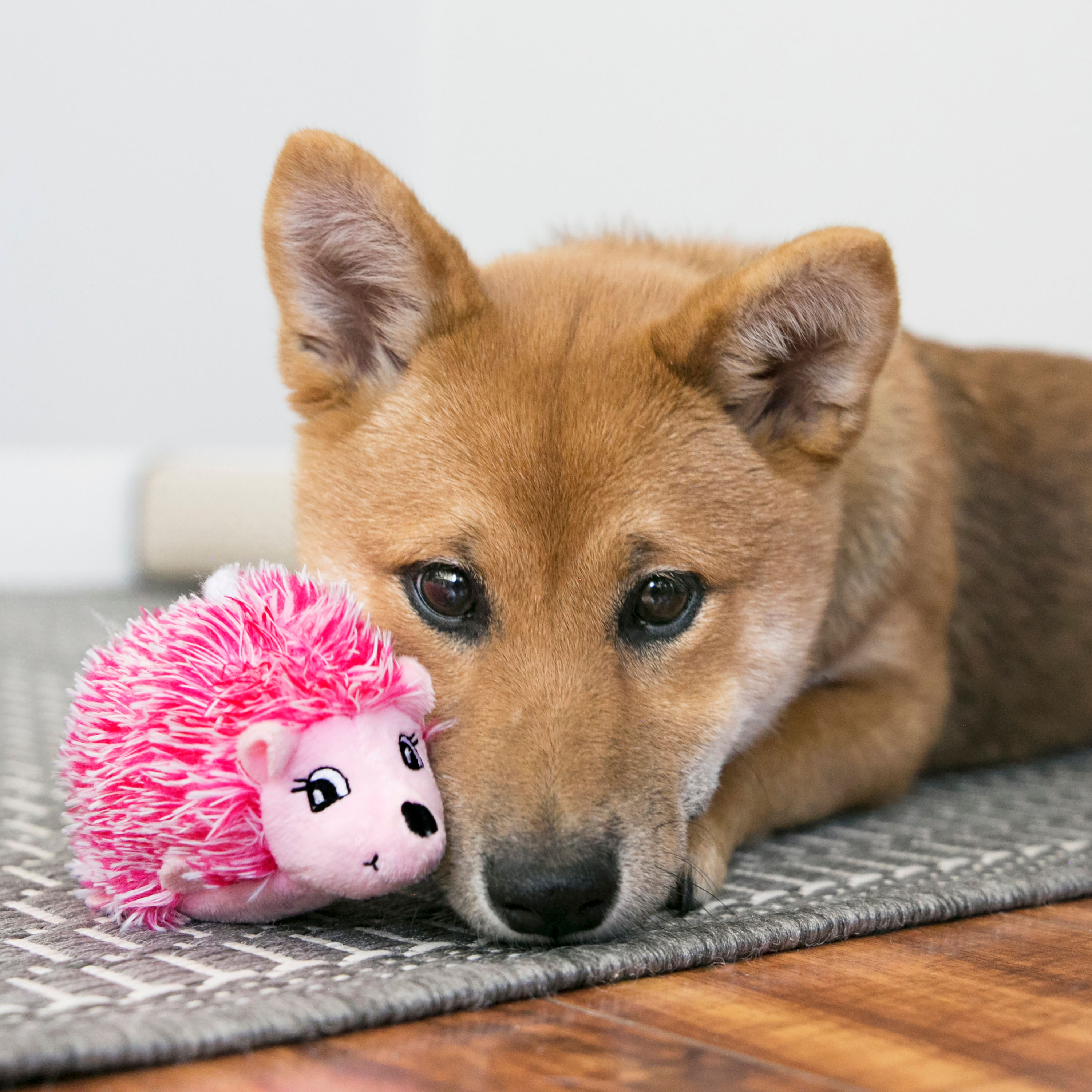 Kong Comfort HedgeHug Puppy XSmall