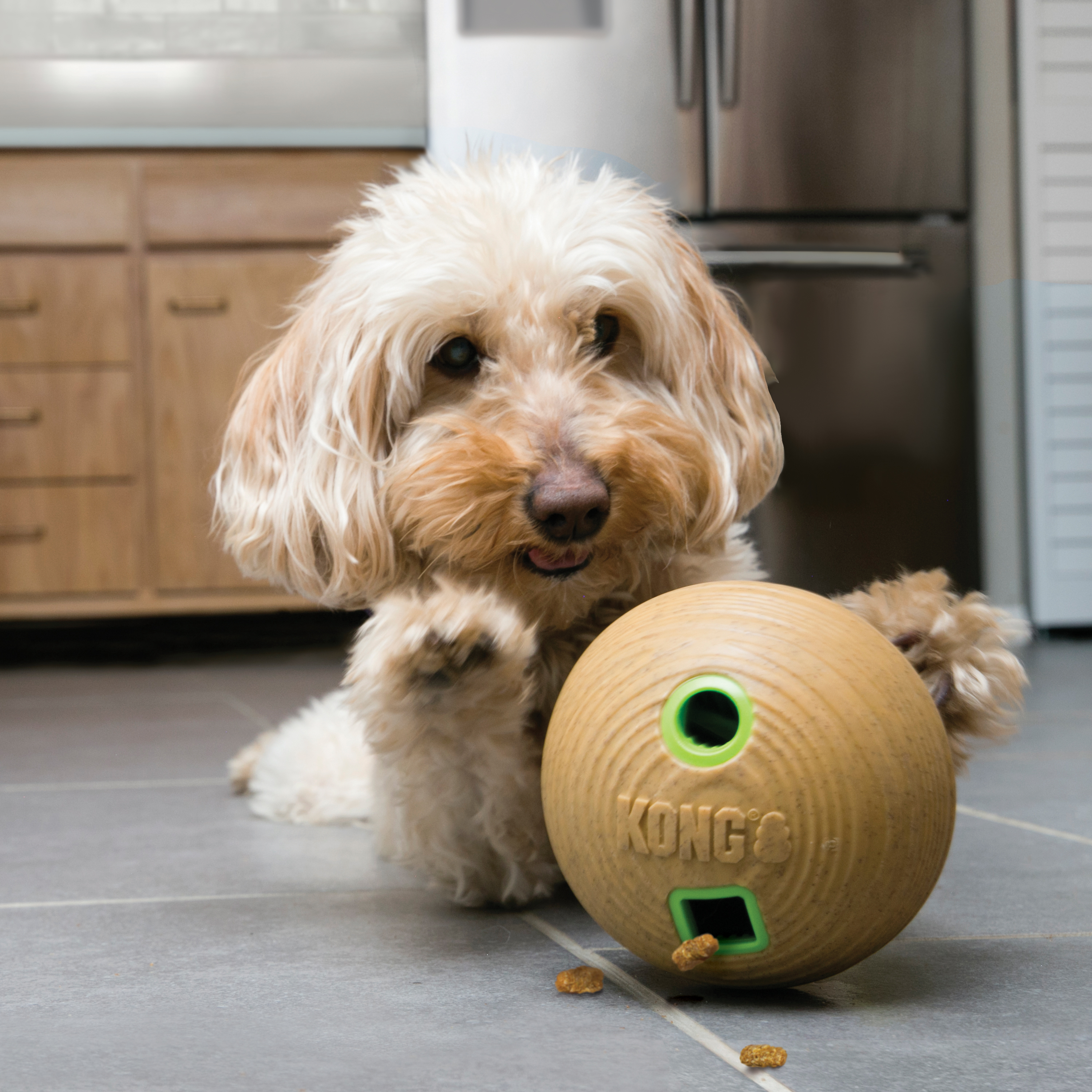 Kong Bamboo Feeder Dumbbell Medium