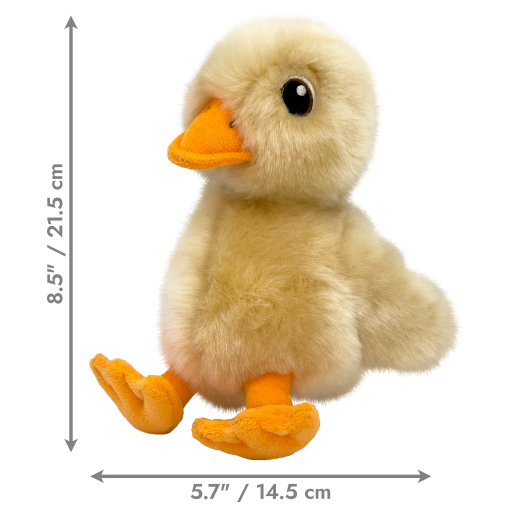 Toughz Duck Md EU