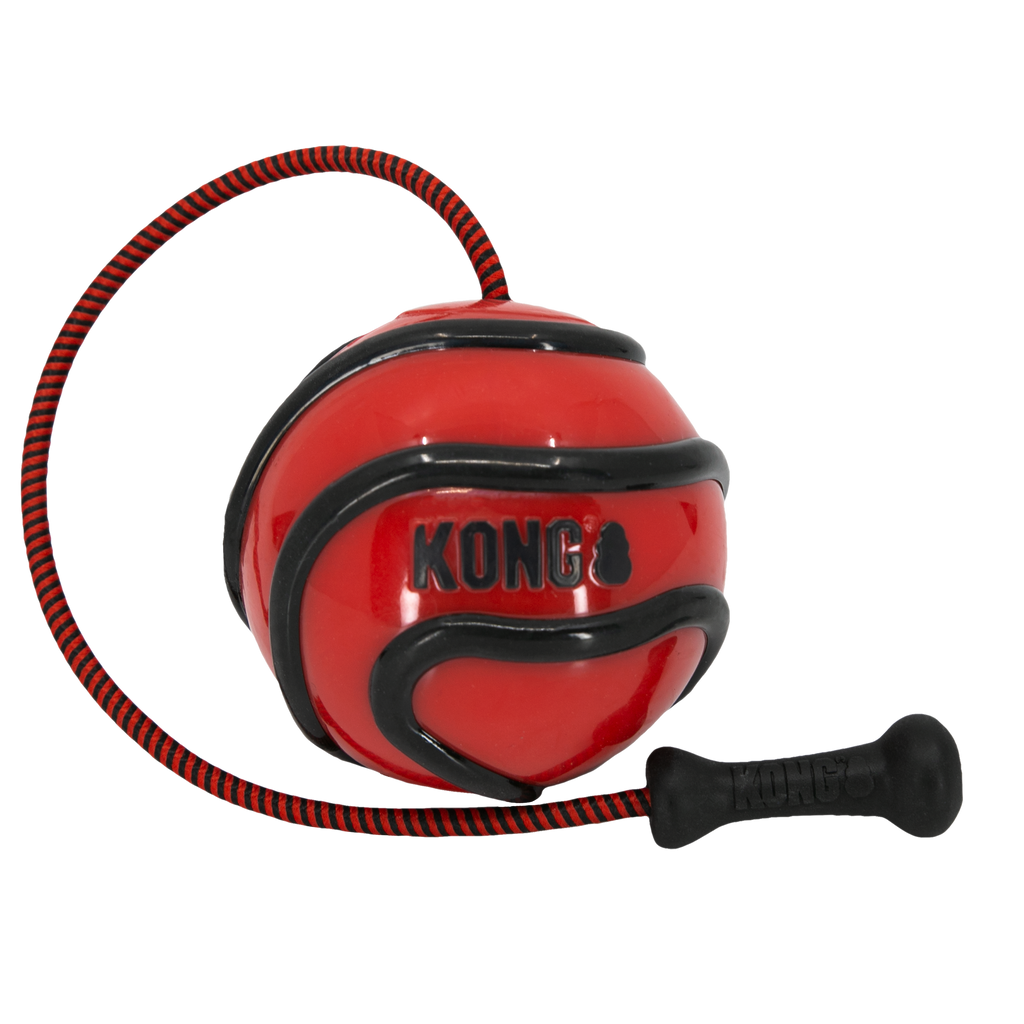 Kong Wavz Bunjiball Assorted Medium