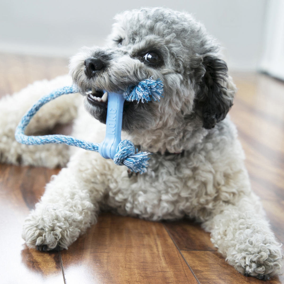 KONG Puppy Goodie Bone w/Rope XS EU