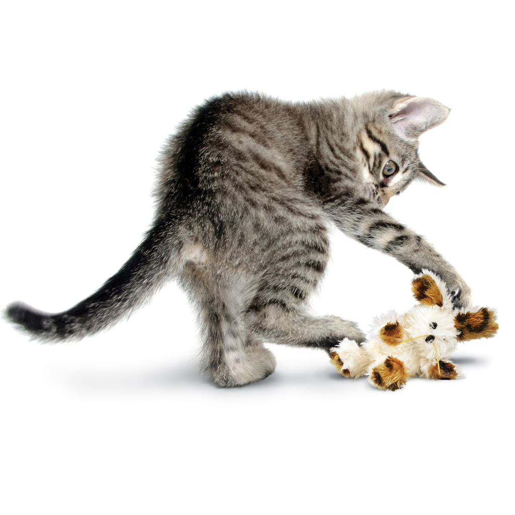 Kong Xmas Cat Softies Bear Assorted Each