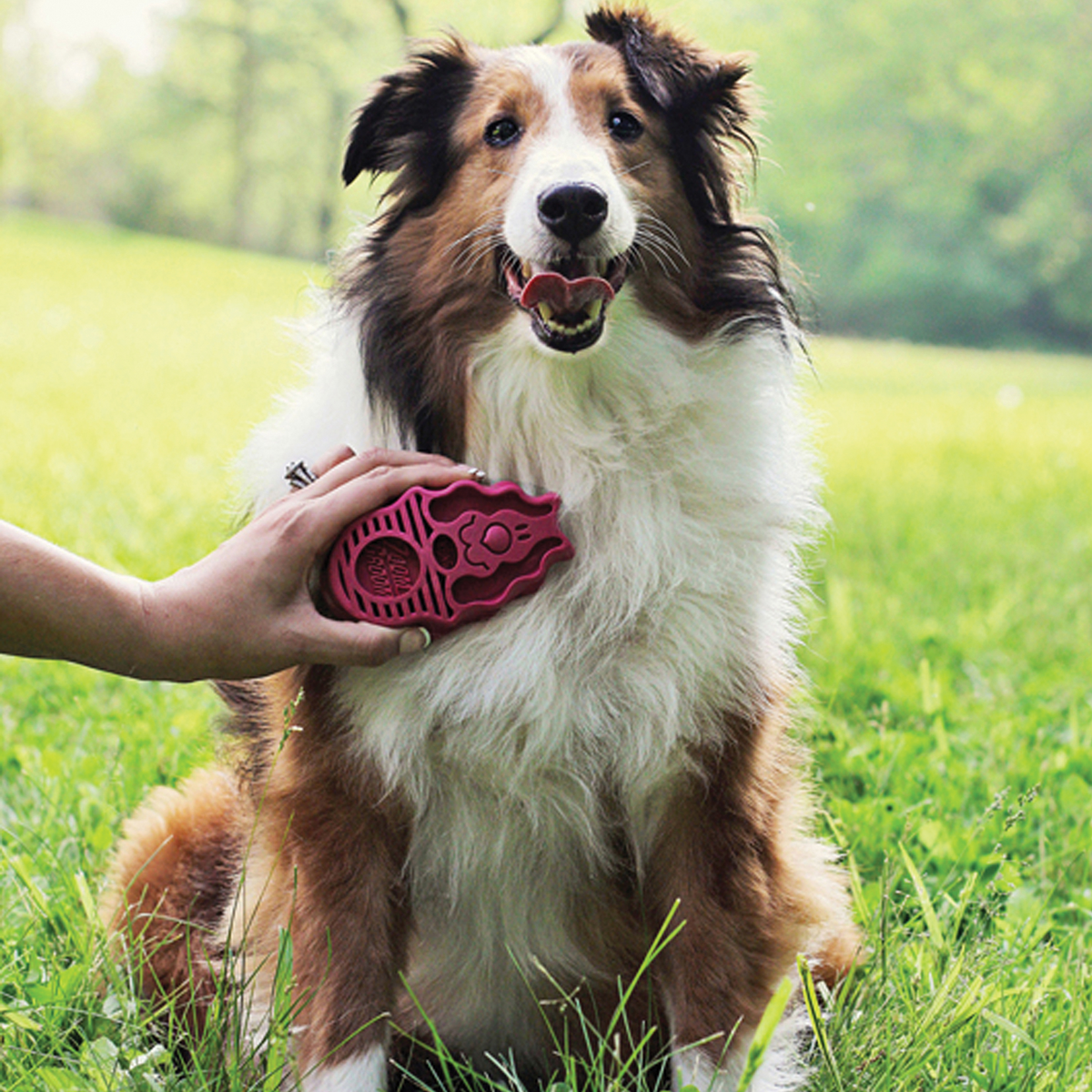 ZoomGroom Raspberry Lg EU