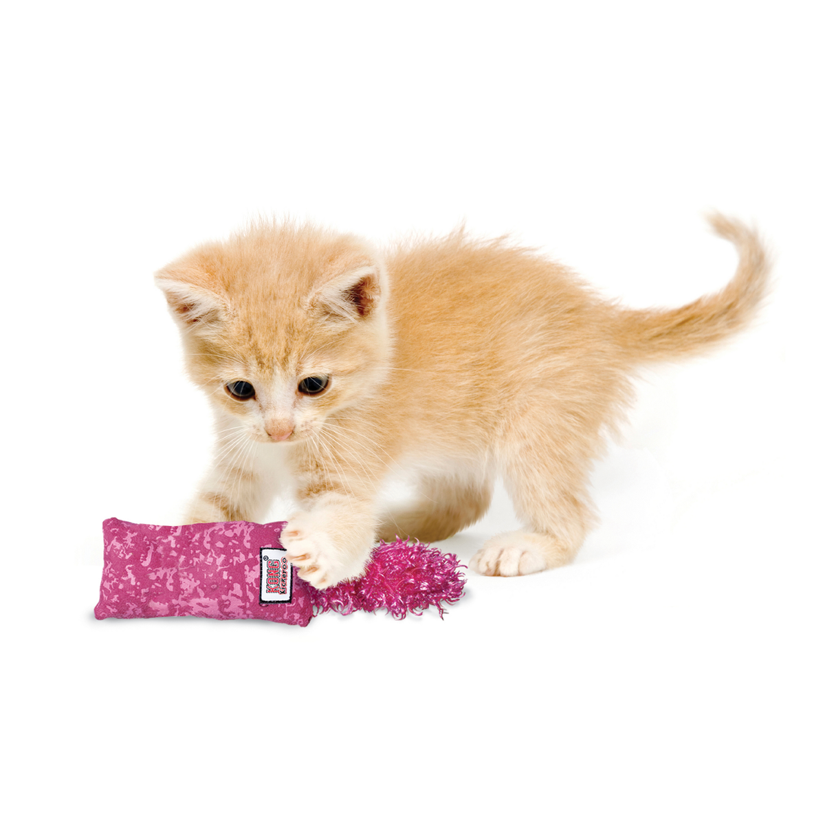 Kickeroo Kitten Assorted EU