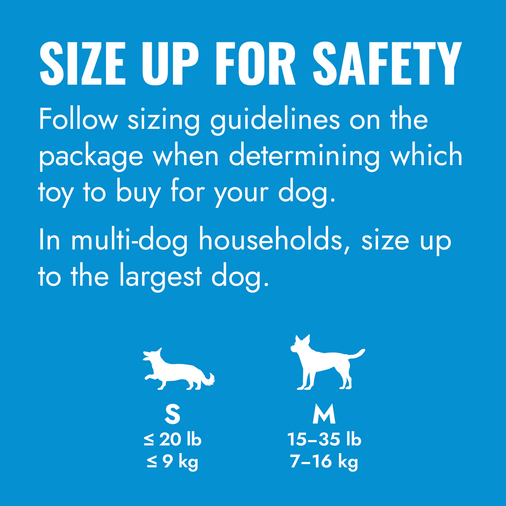 KONG Puppy Binkie Md EU
