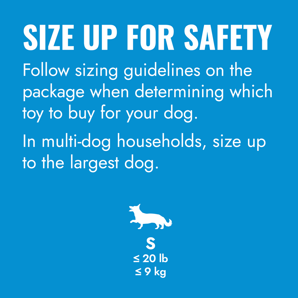KONG Puppy Flyer Sm EU