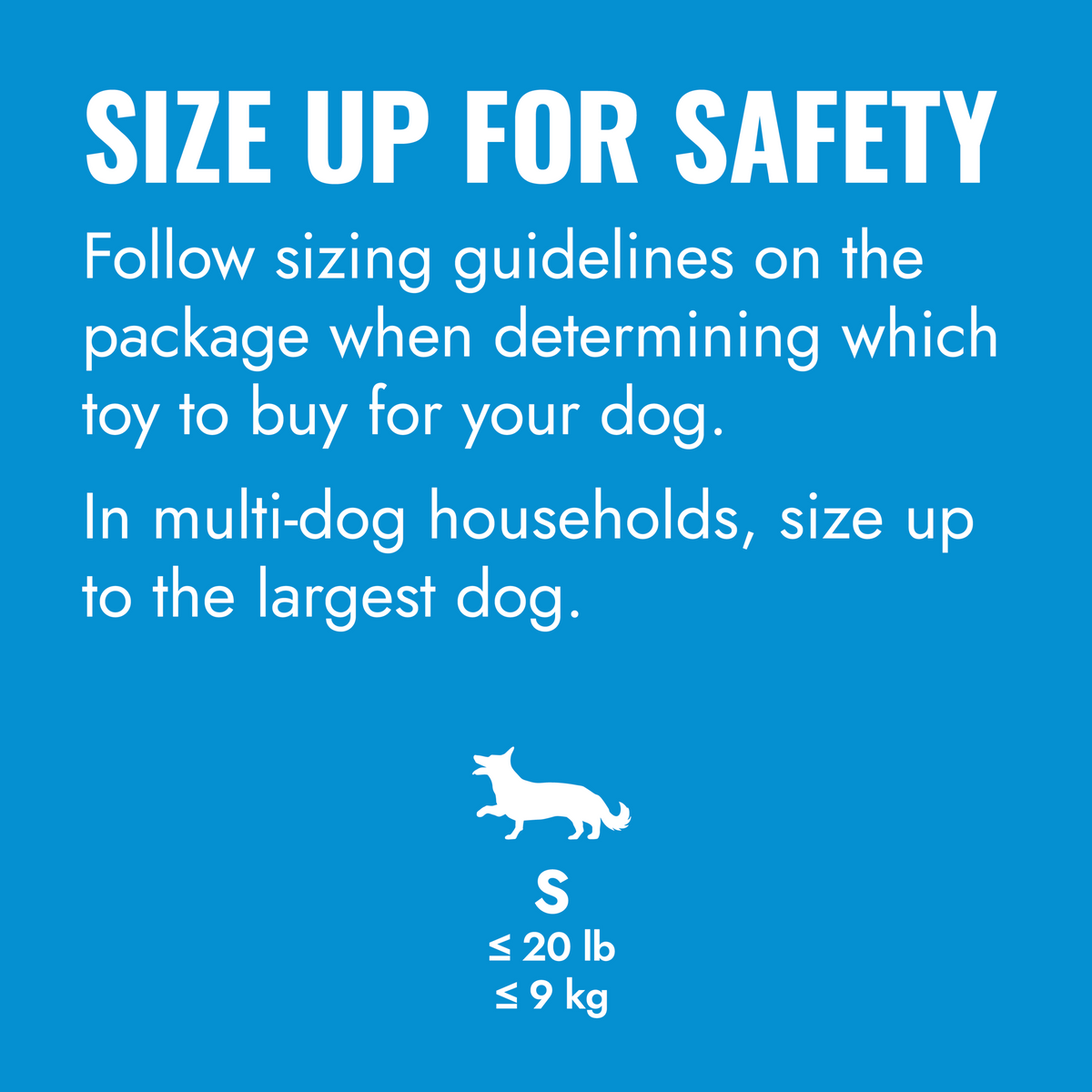KONG Puppy Flyer Sm EU