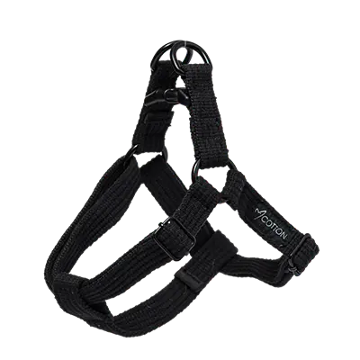 Gor Cotton Harness Large Black 2.5cm