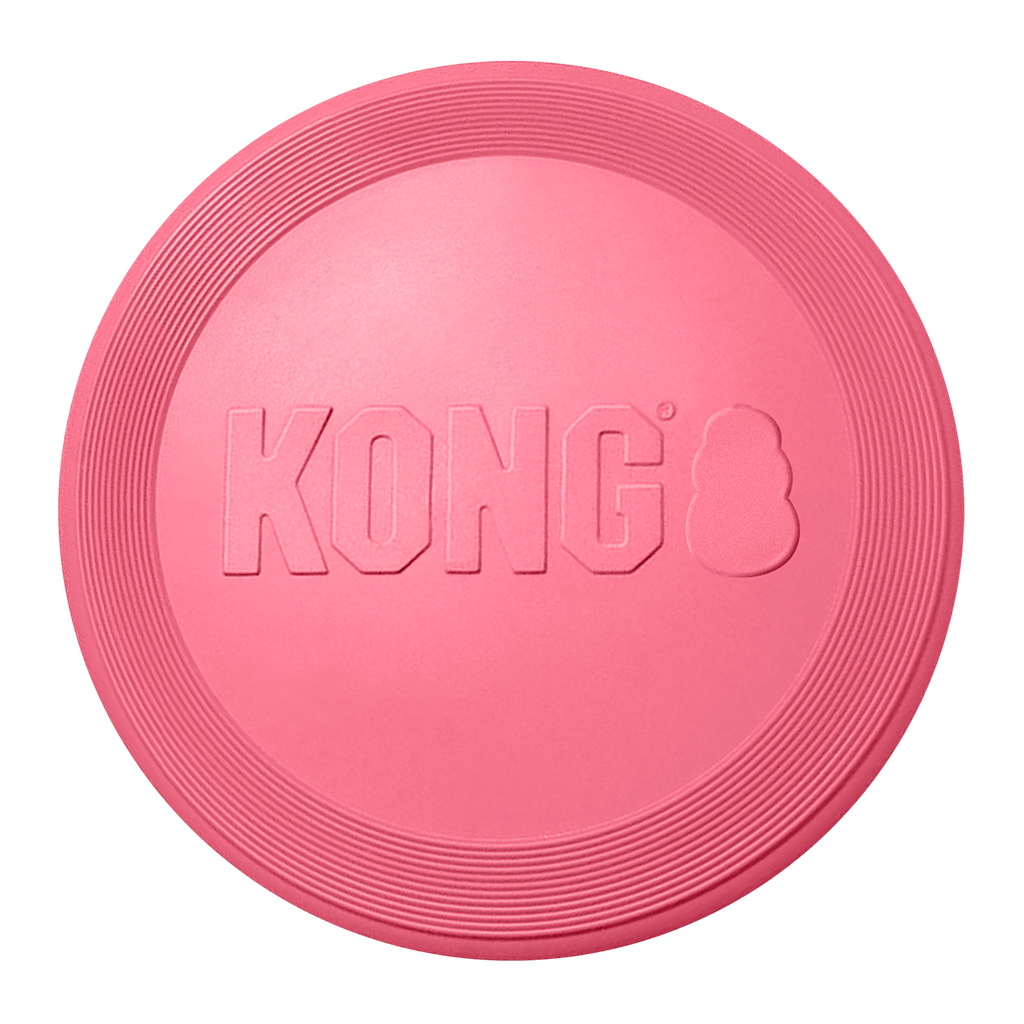 KONG Puppy Flyer Sm EU