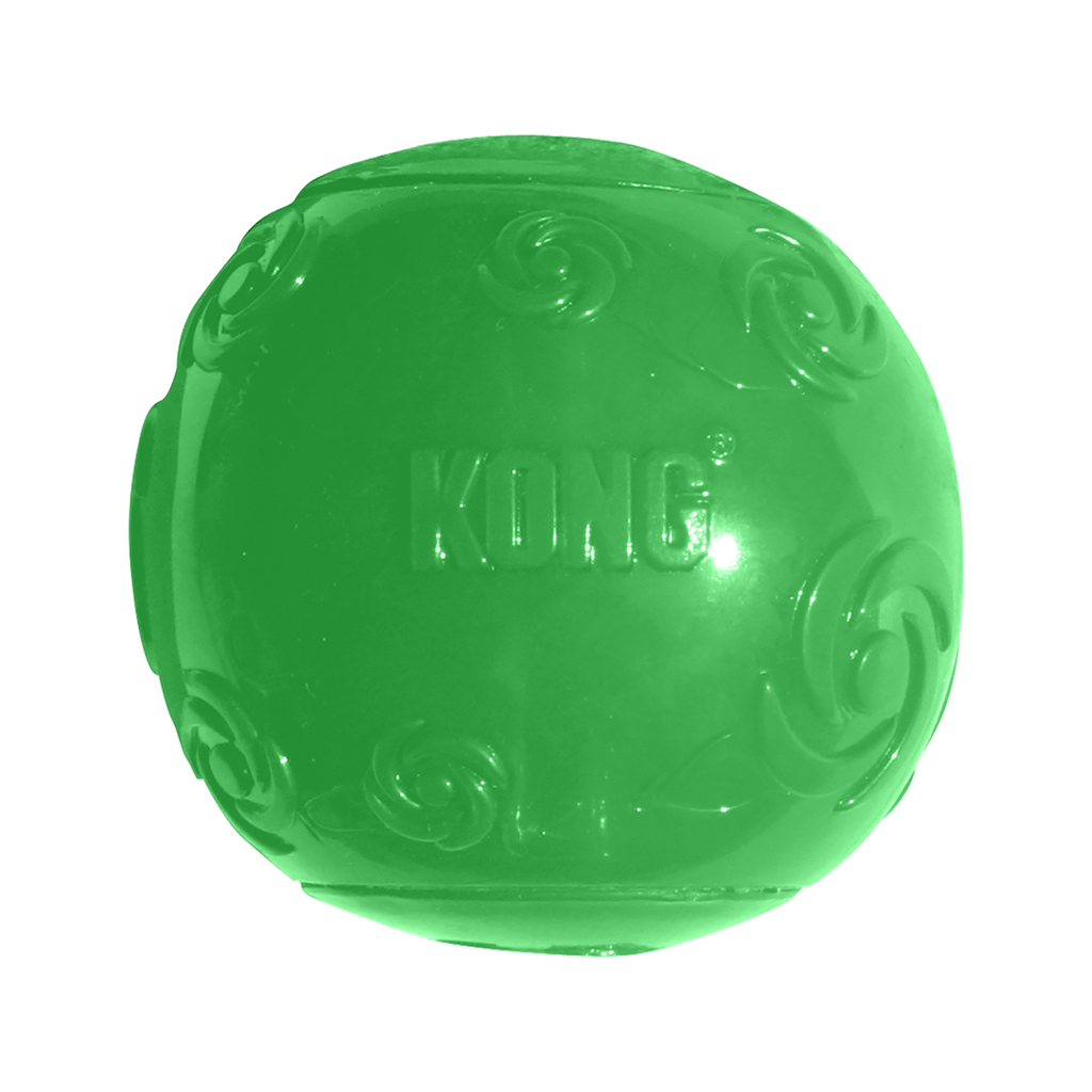 Squeezz Ball Assorted Lg EU