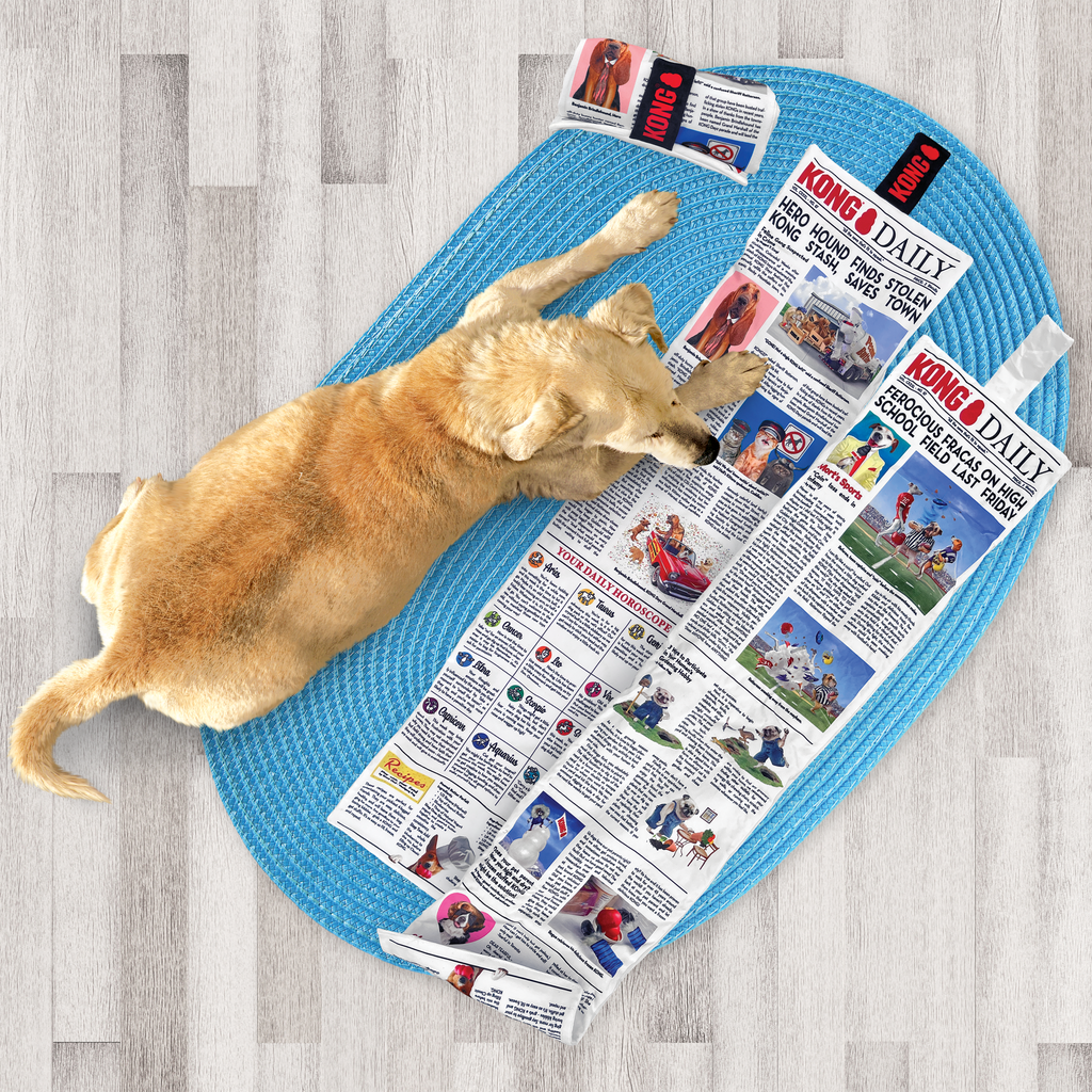 Daily Newspaper XL EU