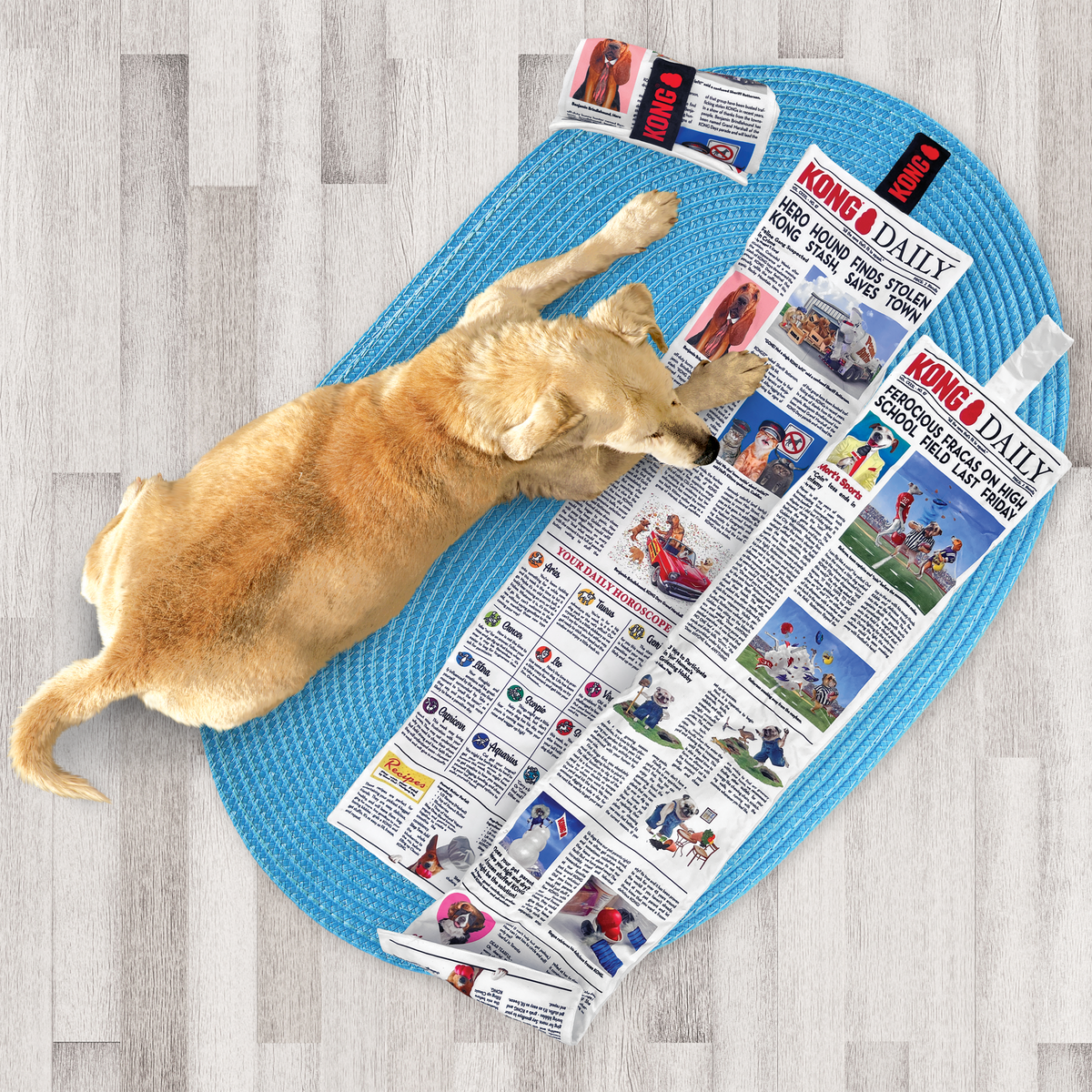 Daily Newspaper XL EU