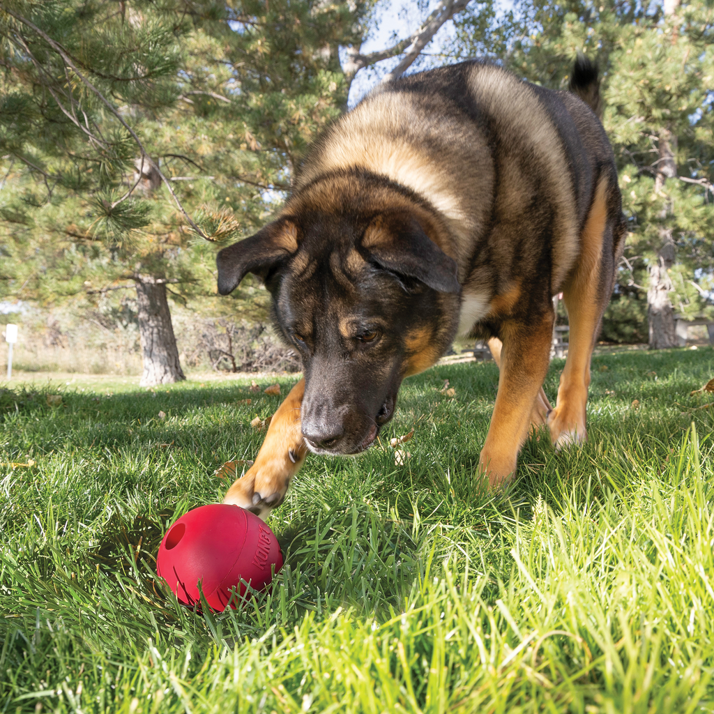 KONG Ball w/Hole Lg EU