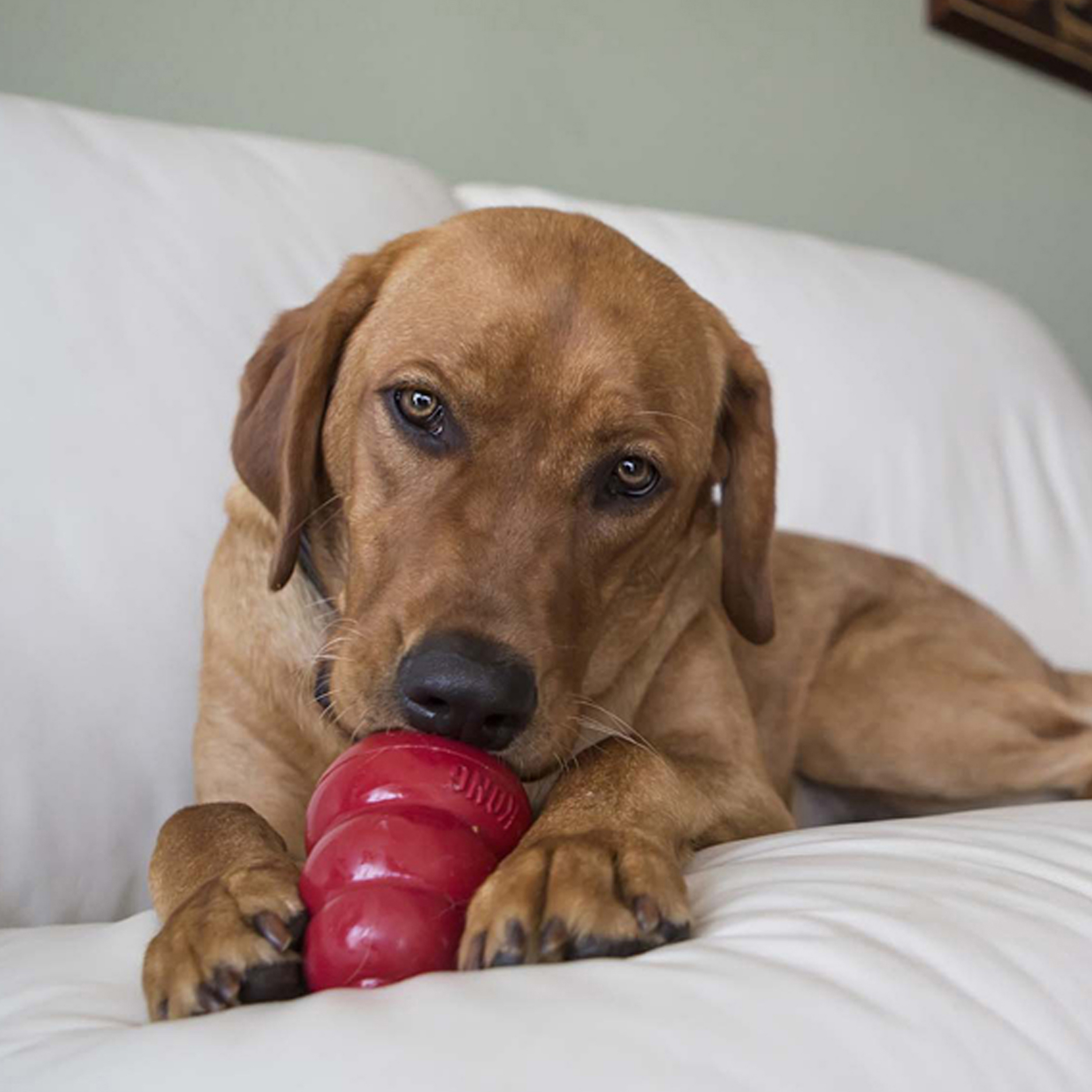 Kong Easy Treat Liver Each