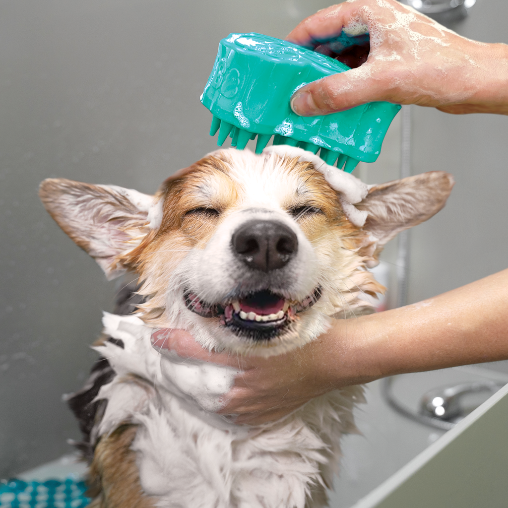 ZoomGroom Bubbles Lg EU