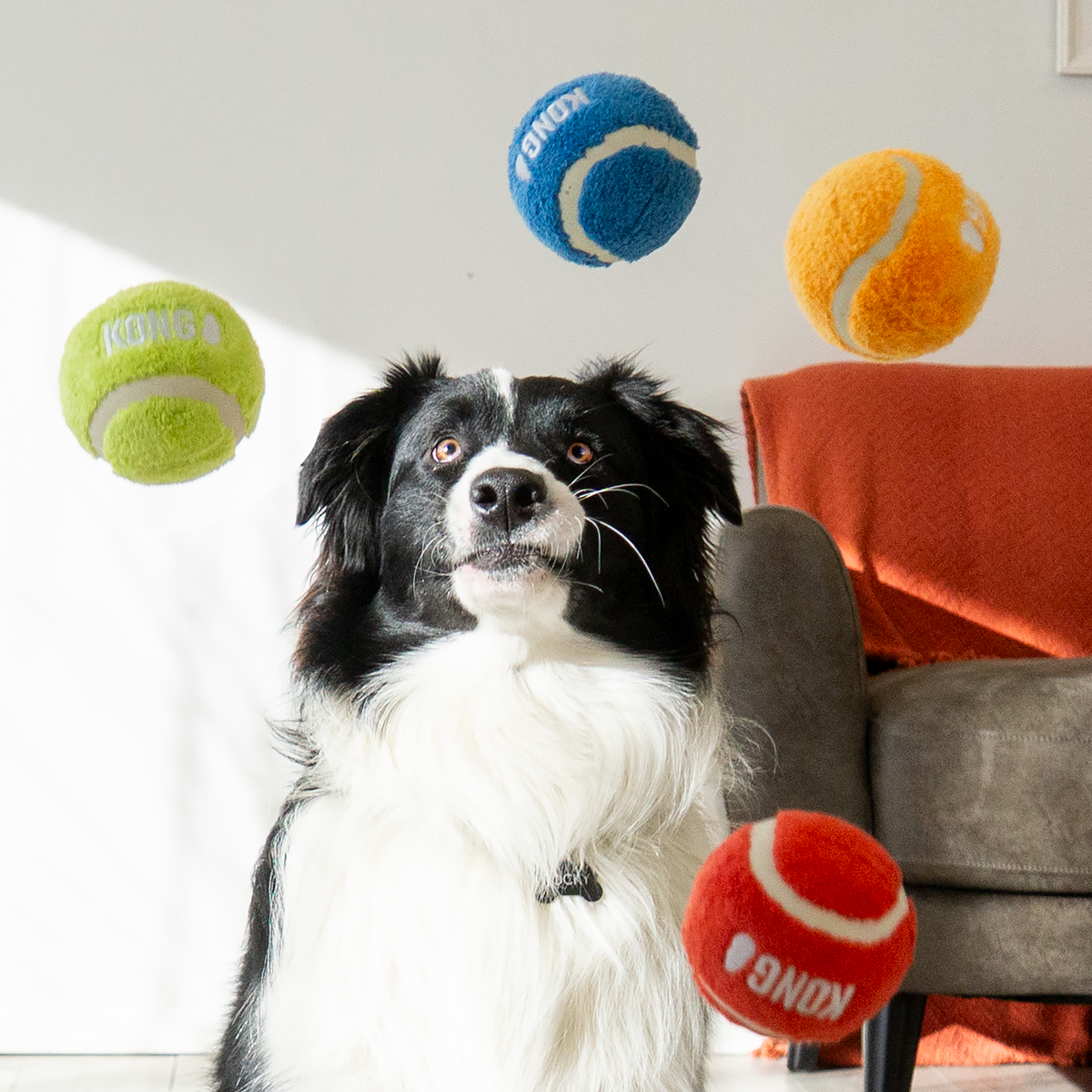 Sport Softies Ball Assorted Md EU