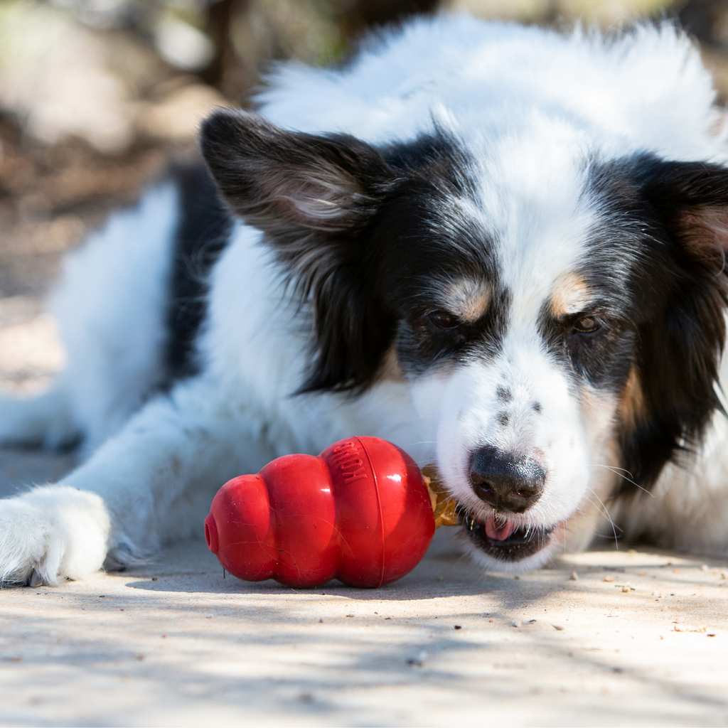 Kong Snacks Liver Small
