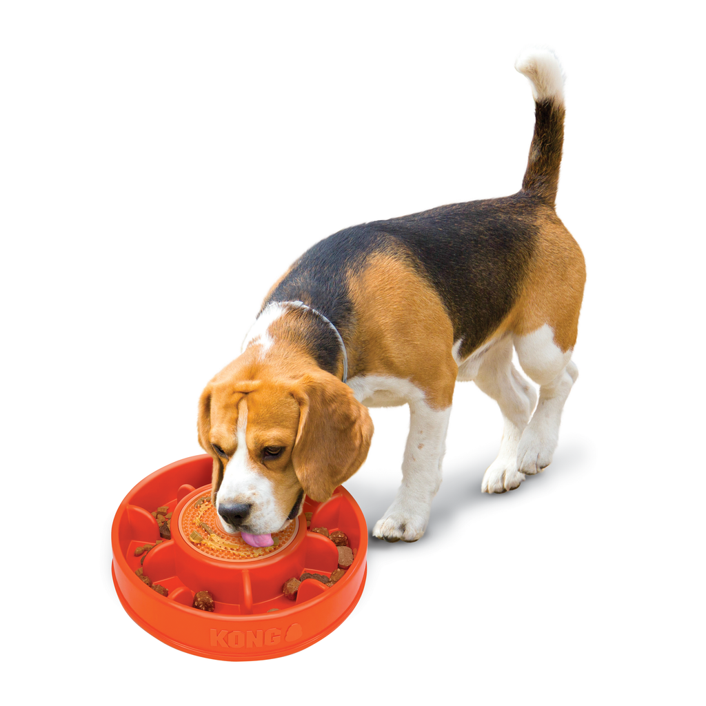 Licks Mealtime Lg EU