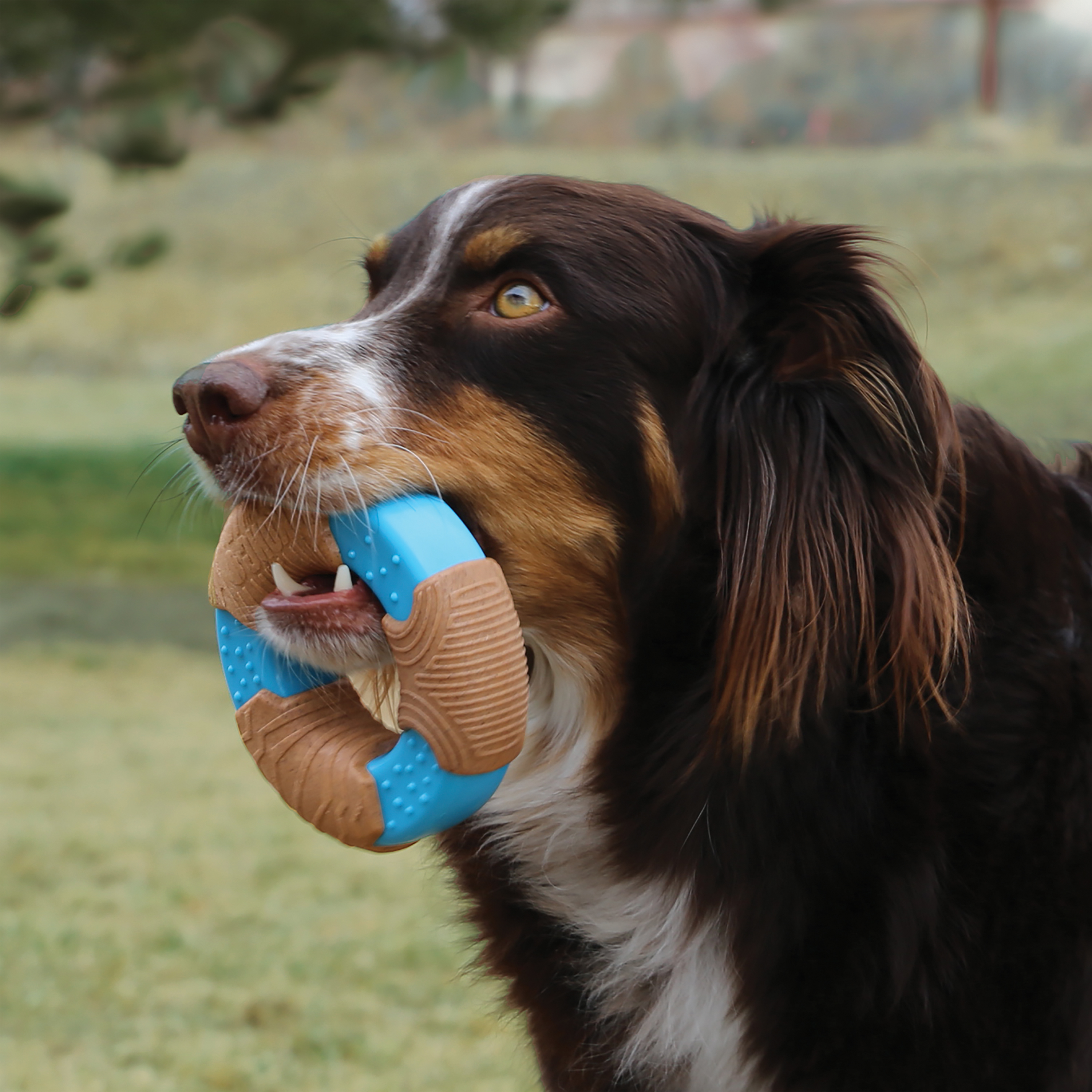 Kong CoreStrength Bamboo Bone L