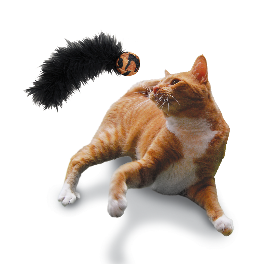 Cat Active Wild Tails Assorted EU