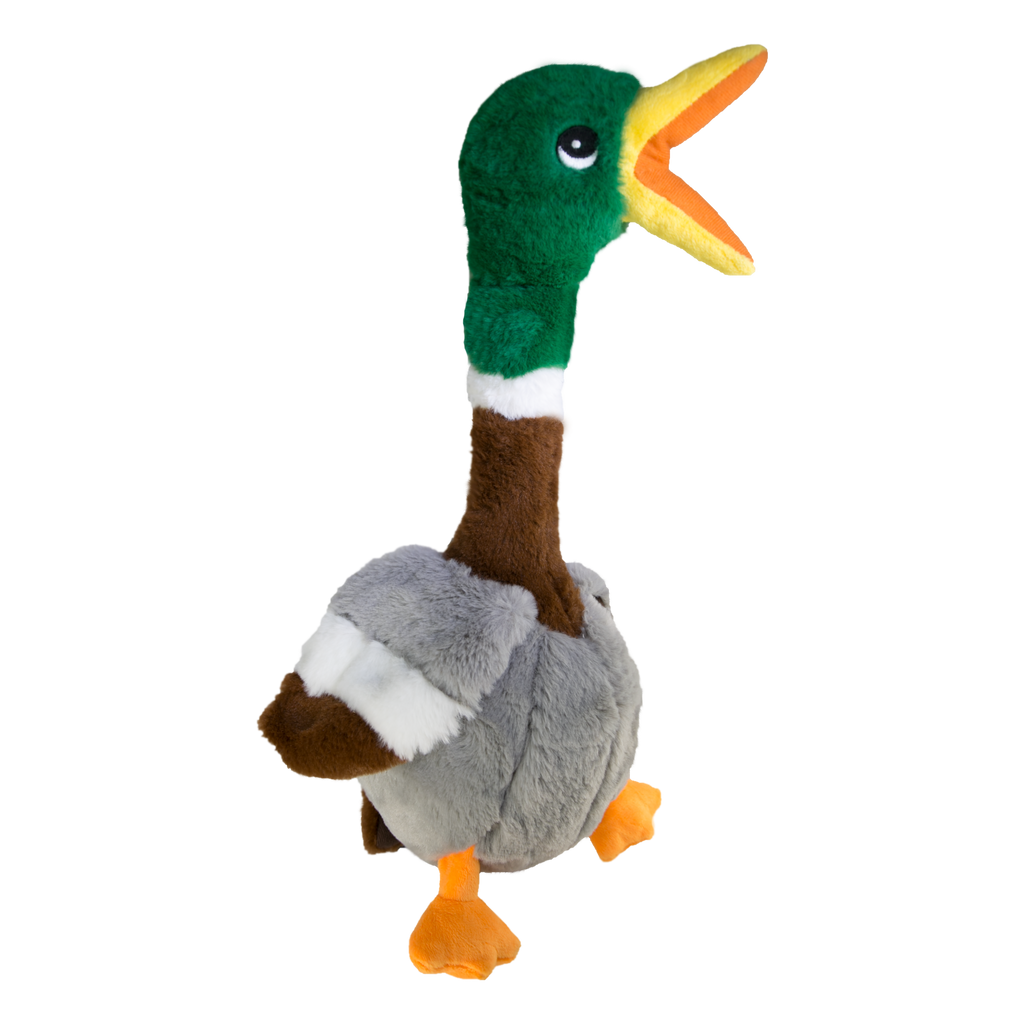 Shakers Honkers Duck Sm EU
