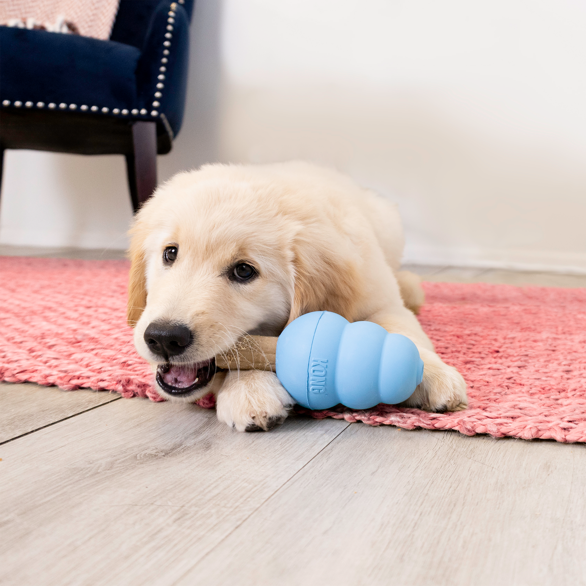 Ziggies Enhanced Puppy Sm 198g EU