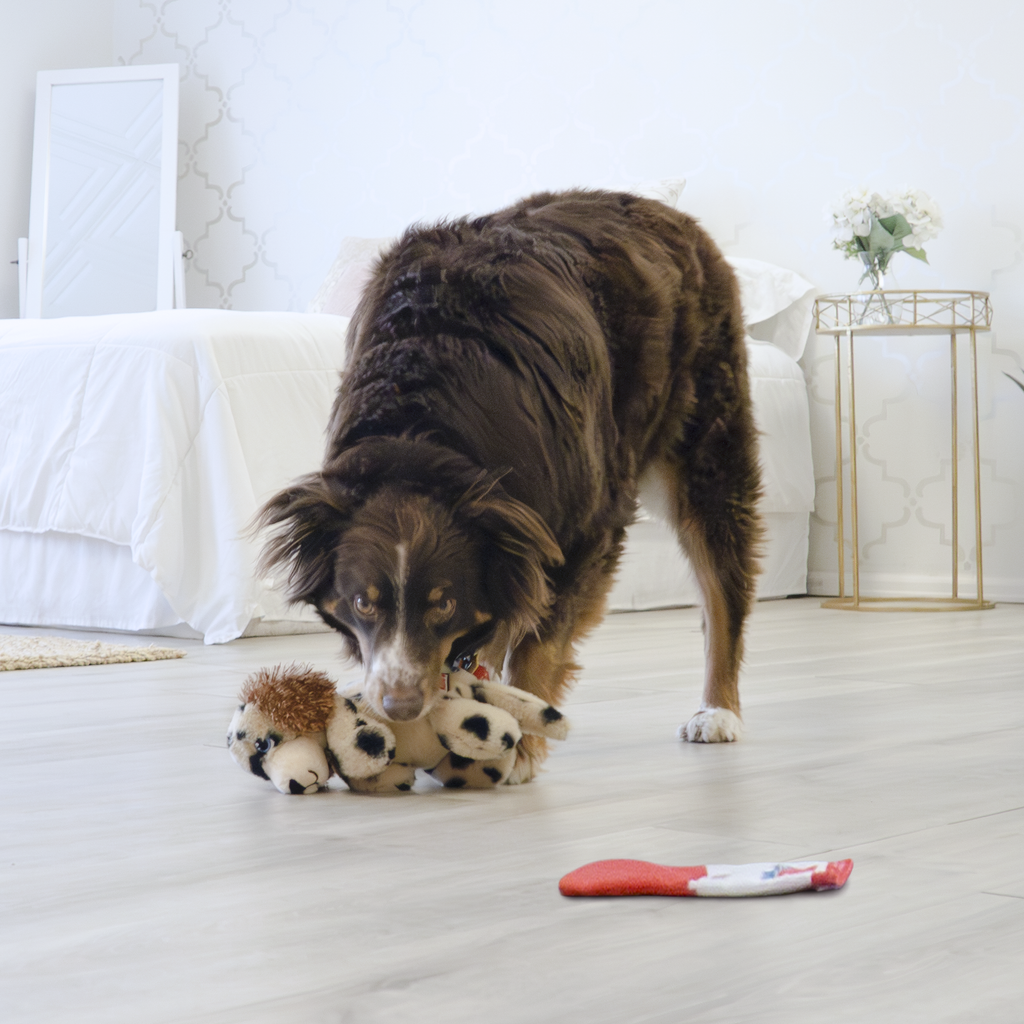 Comfort Pups Spot Md EU