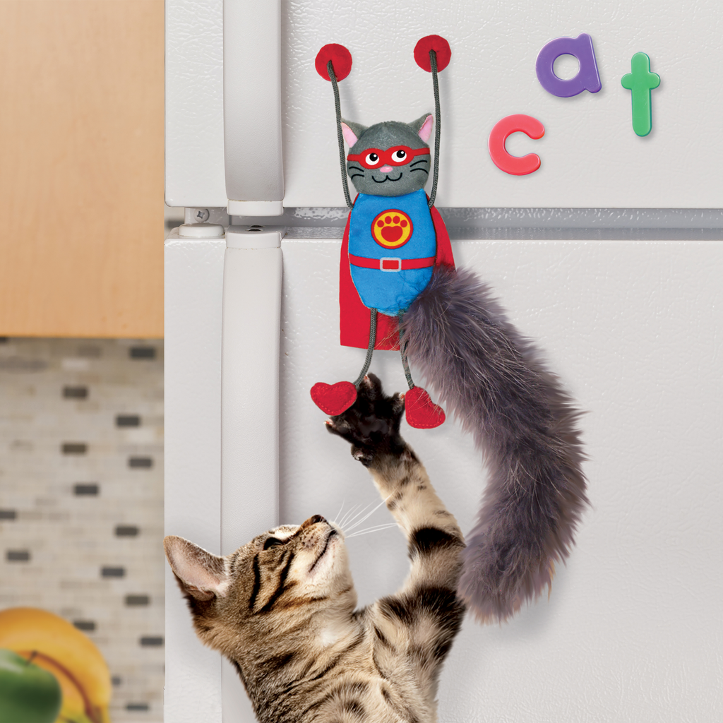 Kong Cat Connects Magnicat