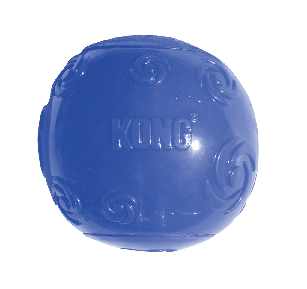 Squeezz Ball Assorted Lg EU