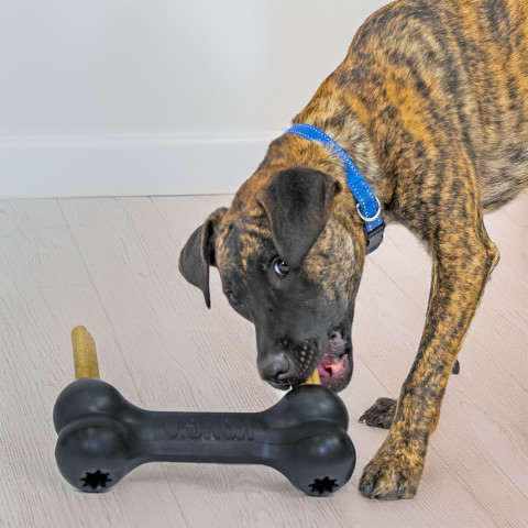 Kong Extreme Goodie Bone L