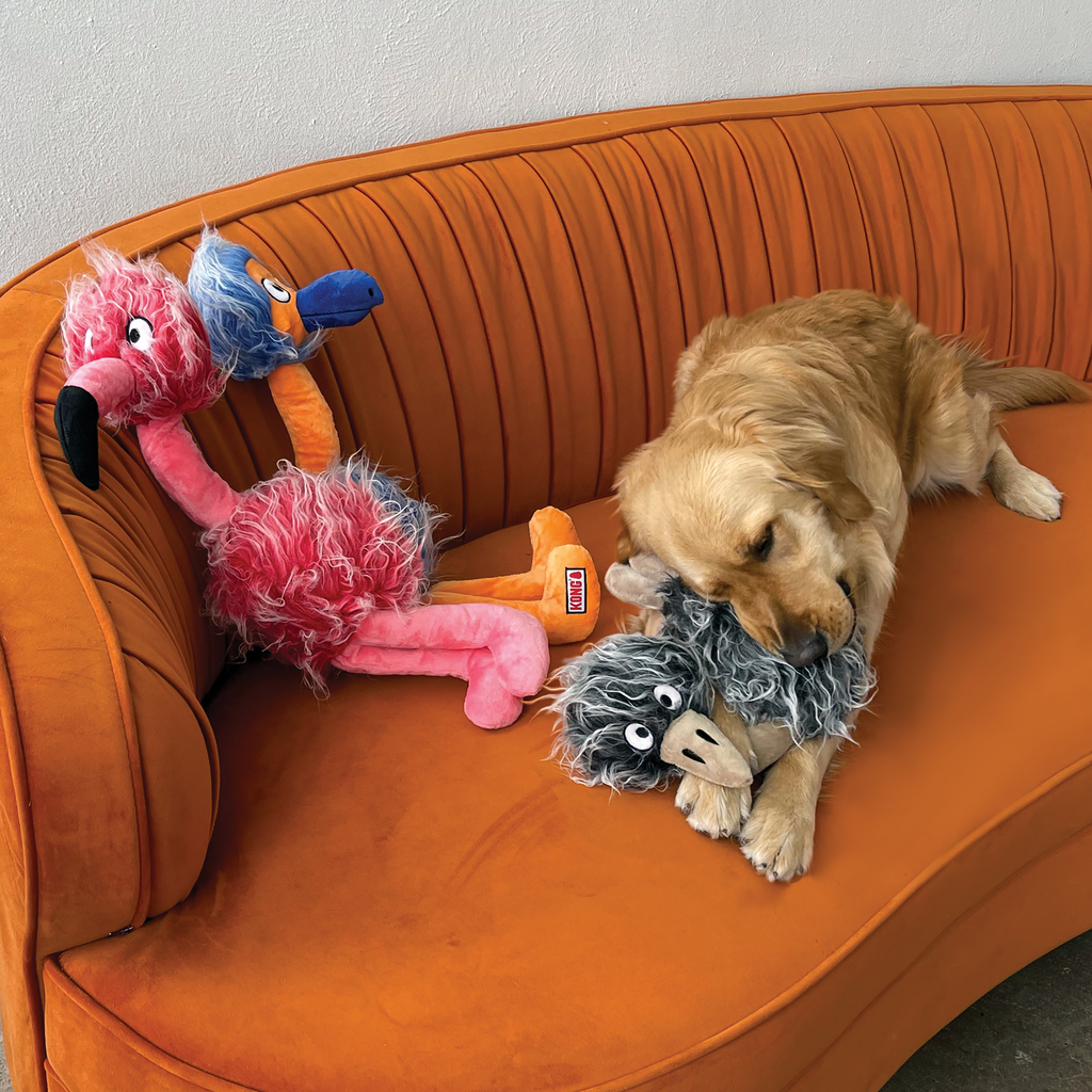 Comfort Jumbo Bird Assorted XL EU