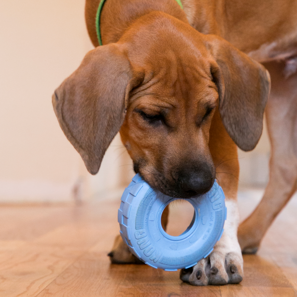 KONG Puppy Tyres Md/Lg EU