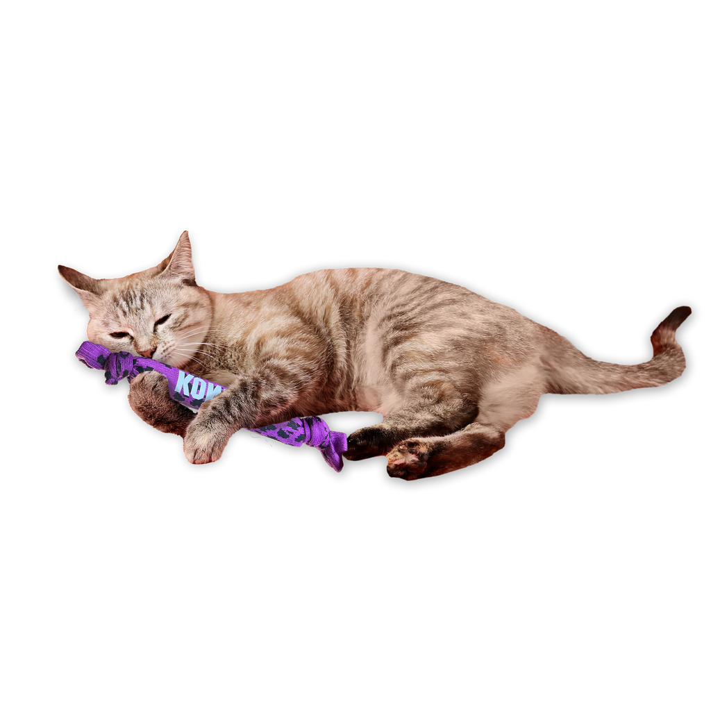 Kickeroo Crunch EU