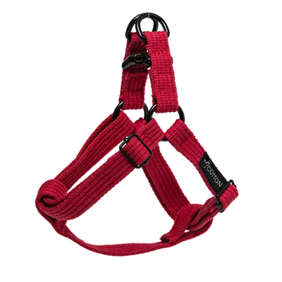 Gor Cotton Harness Large Red 2.5cm