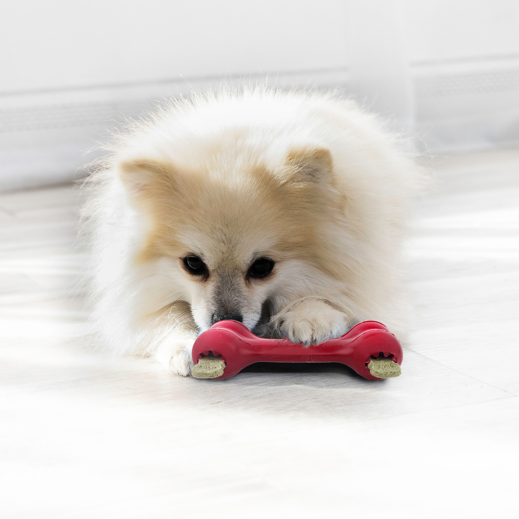 KONG Goodie Bone Sm EU
