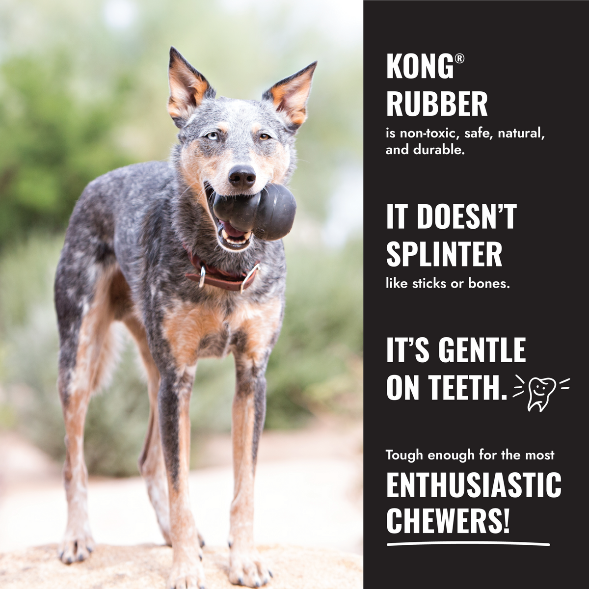 KONG Extreme Tyres Sm EU