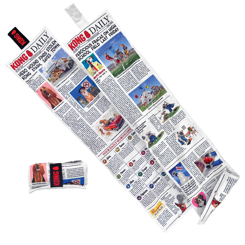 Daily Newspaper XL EU