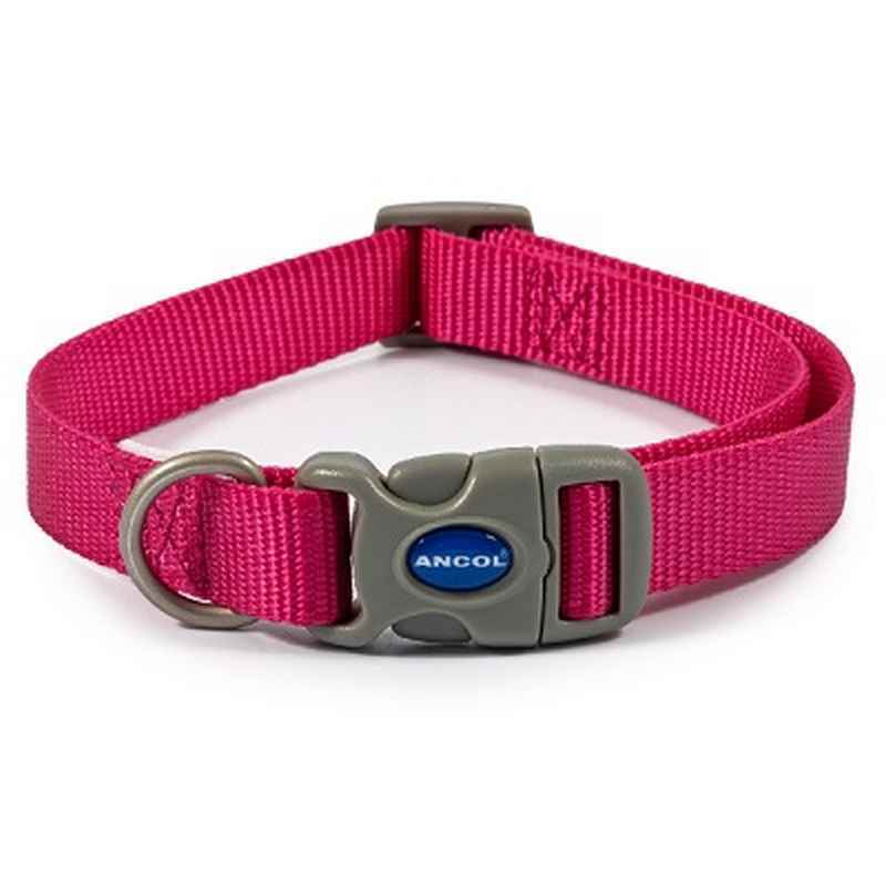 Ancol Raspberry Adjustable Nylon Dog Collar 20 - 30cm