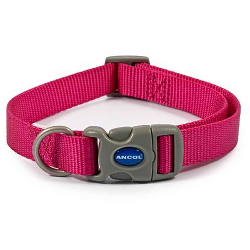 Ancol Raspberry Adjustable Nylon Dog Collar 30 - 45cm