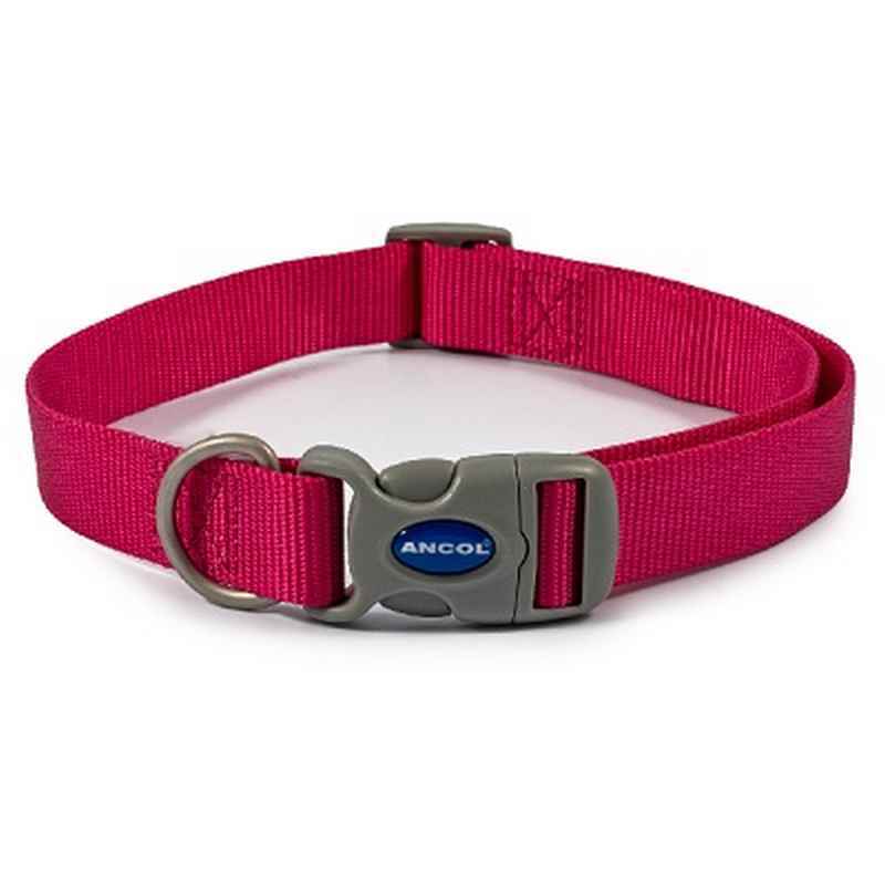 Ancol Raspberry Adjustable Nylon Dog Collar 45 - 70cm