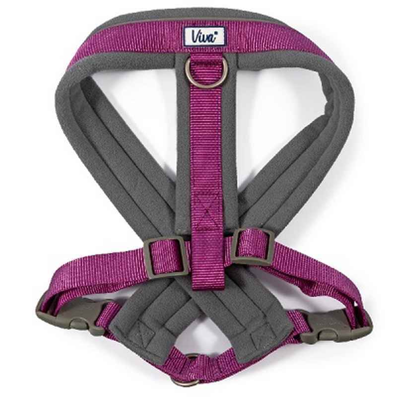 Ancol Viva Padded Dog Harness Purple 52-71cm