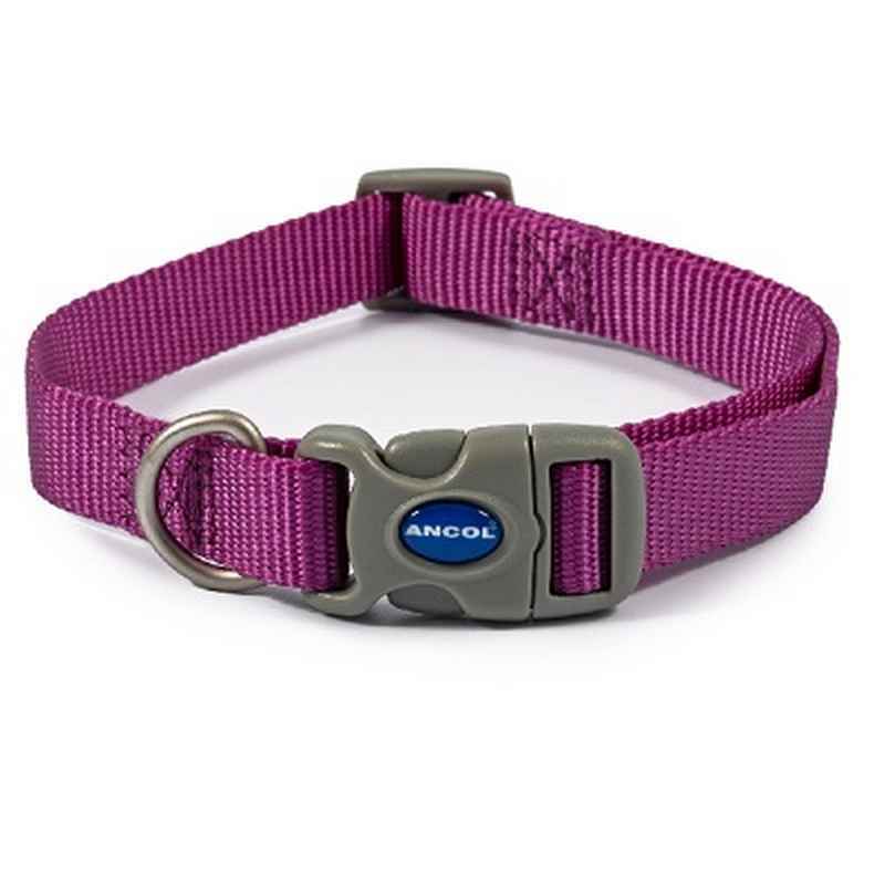 Ancol Viva Adjustable Quick Fit Collar Purple 20-30cm